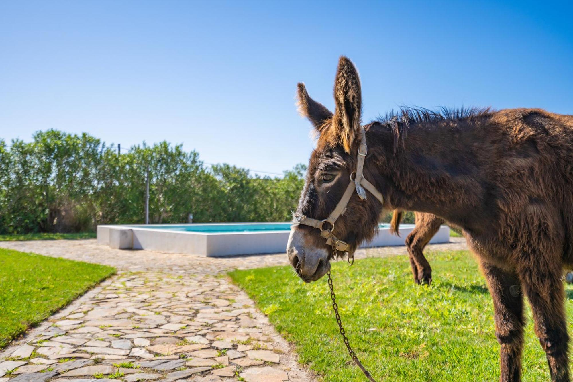 Séjour à la ferme Burro